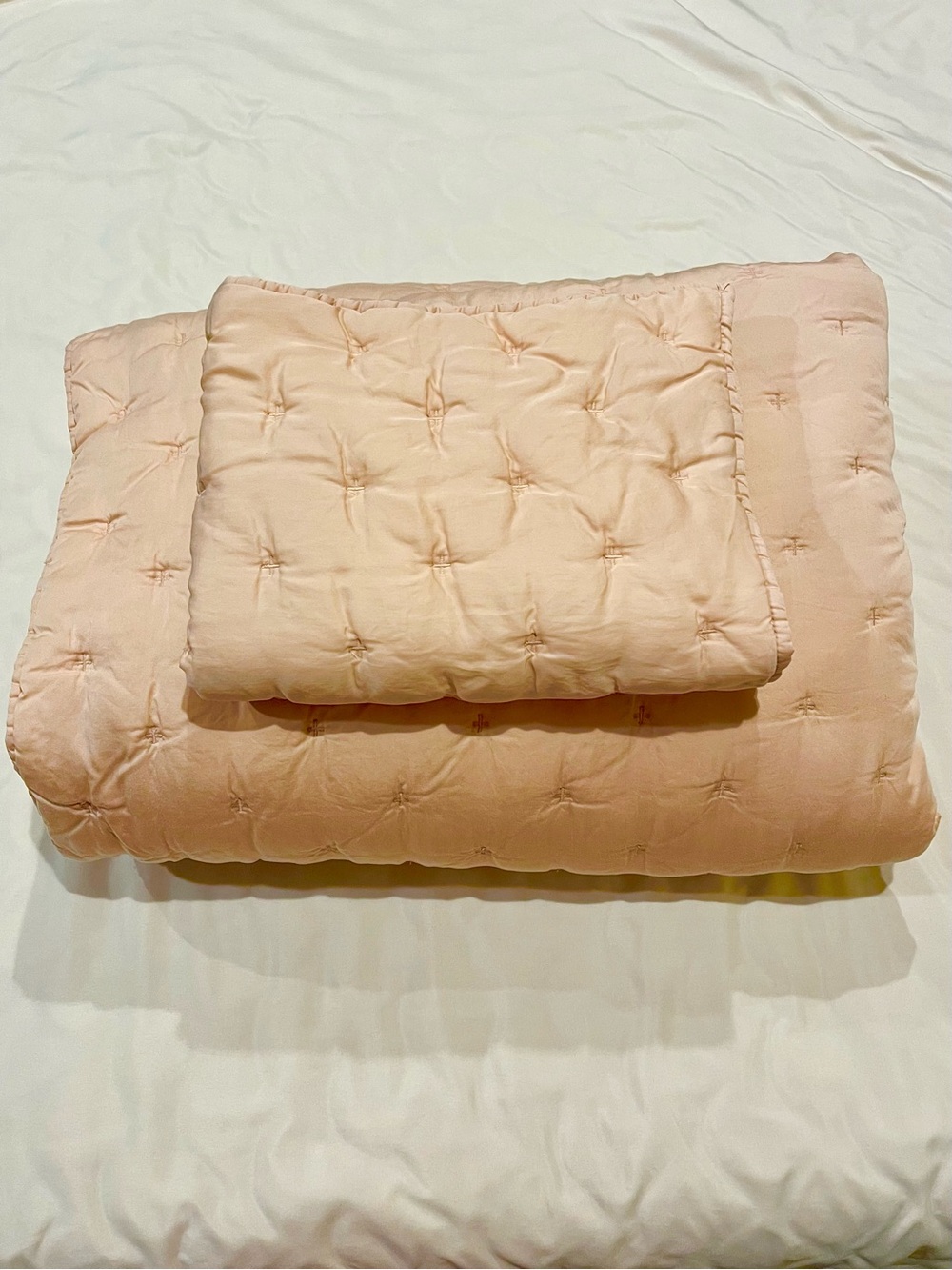 Pottery Barn Teen Soft Rose Amelia Tencel Twin Quilt & Standard Sham